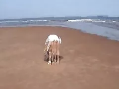 哥特護送砰地像個婊子