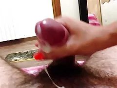 胖女同性戀蕩婦貓舔