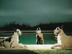 妮基賓士護士