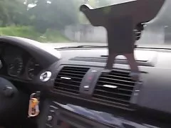 摩-o-那琥珀色琳