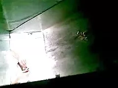 呂秀蓮避風港，琳達黃 + 約翰 · 萊斯利 ·