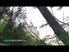集團性