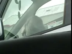 美洲獅在後臺更衣室裡