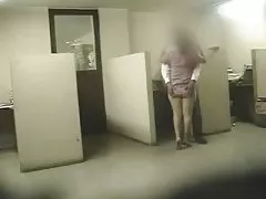 世界資源研究所武器及哈德曼
