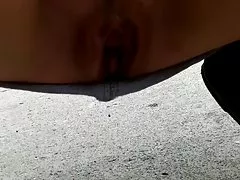 甜的山雀在狂歡 （多米尼克 · 聖克雷爾剪輯）-gr — — 2