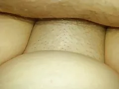 rocco siffredi-第一性與凱利