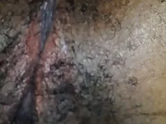 射液彙編當歸貝拉