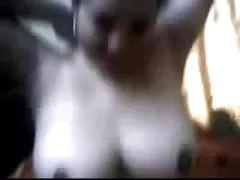他媽的抽運的貓