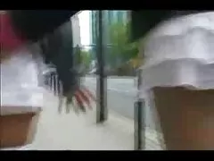 zv 短頭髮的小山雀